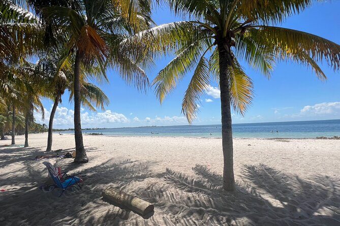 Beginner Scuba Diving Experience With Videos in West Palm Beach - Key Points