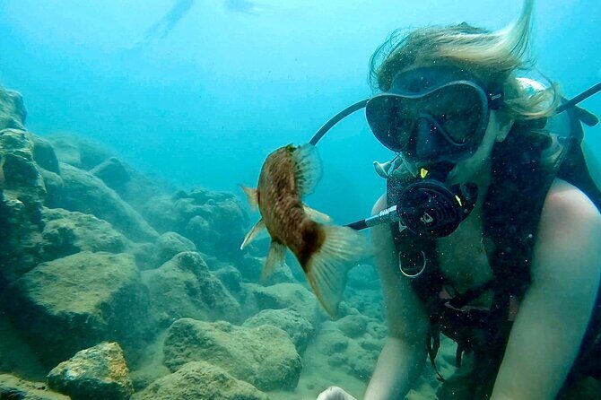 Beginner Scuba Diving Experience With Videos in West Palm Beach - Why This Tour Offers Great Value