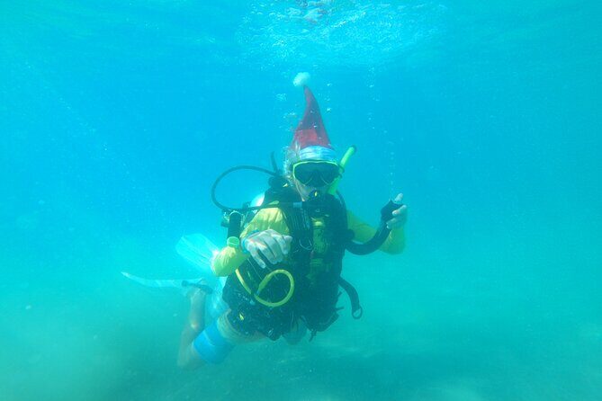Beginner Scuba Diving Guided Tour - No Experience Required - What Travelers Say: Authentic Experiences