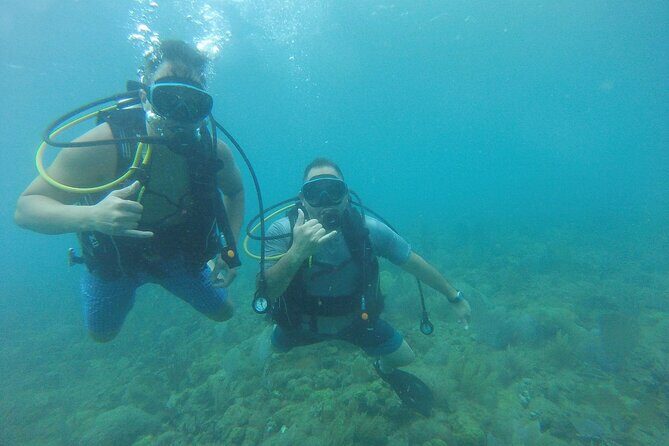 Beginner Scuba Diving Guided Tour - No Experience Required - Final Thoughts