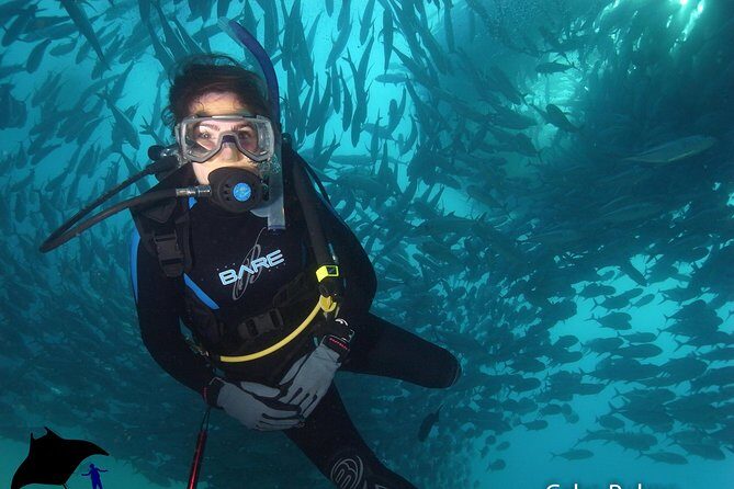 Beginner Scuba Diving in Cabo San Lucas - Frequently Asked Questions