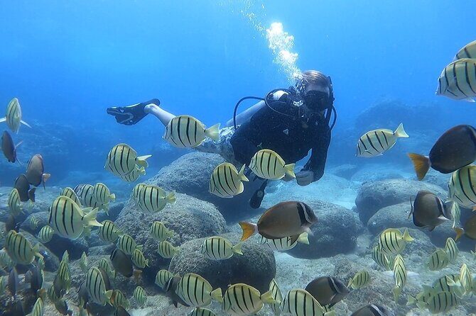 Beginner Scuba Experience with Video Package in Honolulu - The Value of an Introductory Scuba Tour