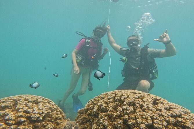 Beginner Scuba Experience with Video Package in Honolulu - A Thorough Breakdown of the Experience