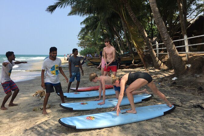 Beginner Surf Lesson in Arugam Bay - A Deep Dive into the Beginner Surf Lesson Experience