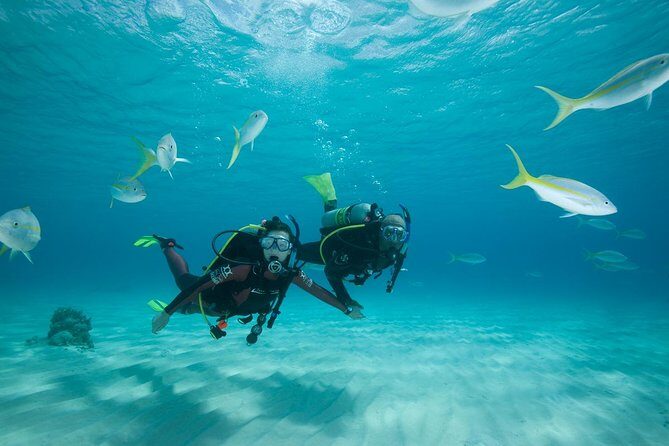 Beginners Scuba Diving Experience in Gran Canaria - A Detailed Look at the Beginners Scuba Dive Experience