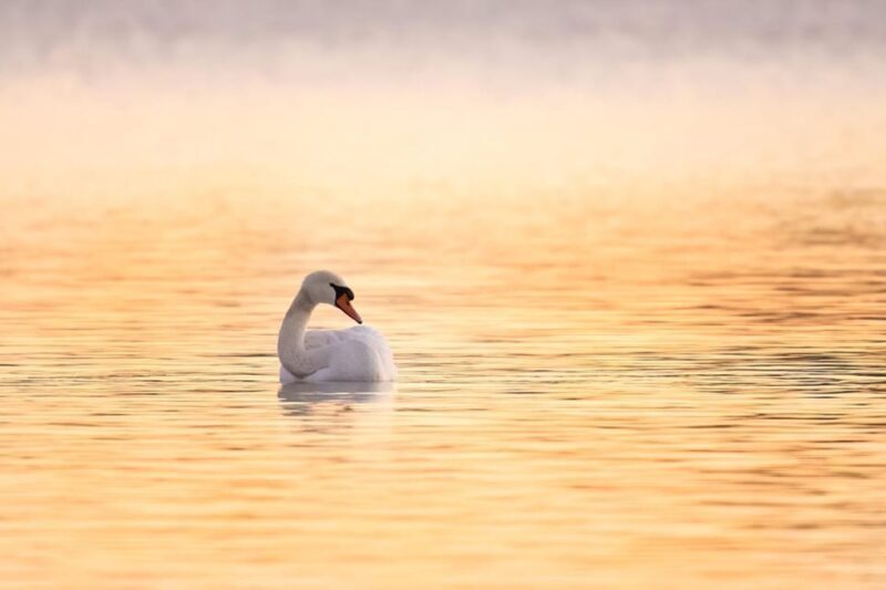 Beginners Wildlife Photography Workshop - FAQs