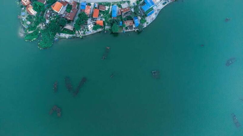 Begnas Lake Freshwater Fish Hunt & Culinary Experience - An Authentic Taste of Nepal’s Natural Beauty and Local Flavors