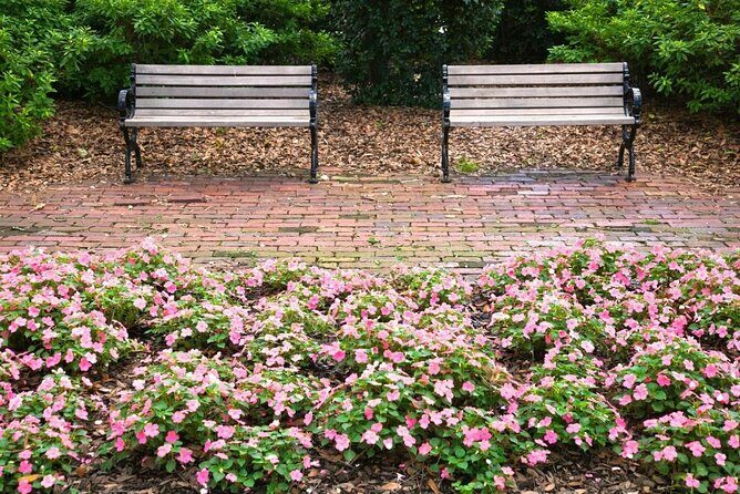 Behind the Plaques - 2 Hour Historical Walking Tour in Savannah - Key Points