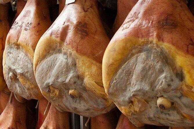Behind the Scenes at Prosciutto di Parma Producer: Tour & Tasting - Key Points