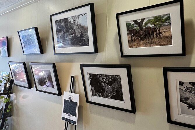 Behind The Scenes Of The Coffee Roasting Process 101 - The Experience Itself: What to Expect