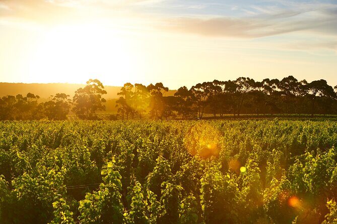 Behind The Scenes Tour with Food & Wine Pairing - A Closer Look at the Experience