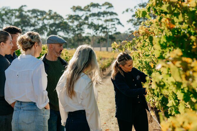 Behind The Scenes Tour with Food & Wine Pairing - The Itinerary in Detail