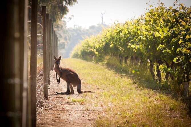 Behind The Scenes Tour with Food & Wine Pairing - Who Will Love This Tour?