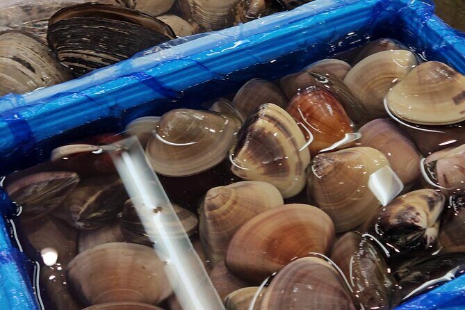 Behind the Scenes Toyosu Fish Market and Luxury Sushi Dining Tour - Who Should Consider This Tour?