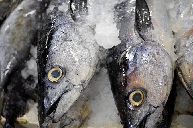 Behind-the-Scenes Toyosu Market & Sushi Making Experience - Authenticity and Value