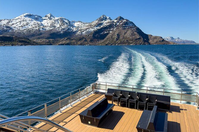 Beiarfjord & Saltstraumen Cruise with Guide - Who Would Love This Tour?