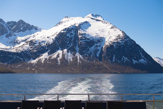 Beiarfjord & Saltstraumen Cruise with Guide - FAQ