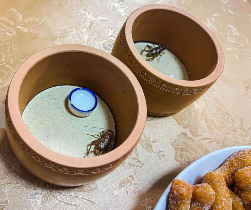 Beijing: Best Hutongs Cultural Tour for the Cricket Fights - Key Points