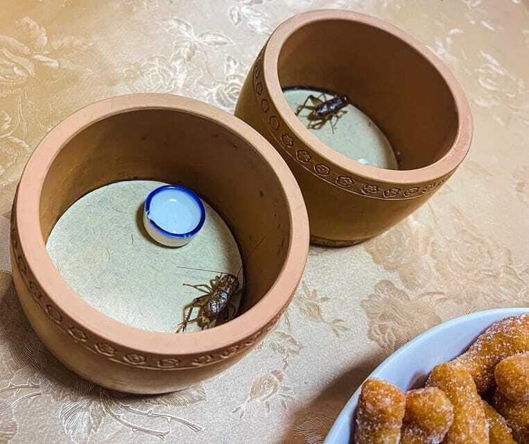 Beijing: Best Hutongs Cultural Tour for the Cricket Fights - Frequently Asked Questions