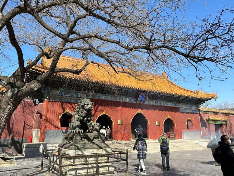 Beijing: Dim Sum Breakfast & Hutong History Tour - A Detailed Look at the Tour Experience