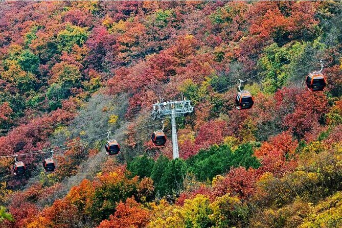 Beijing Great Wall Private Day Tour from Shanghai by Bullet Train - Why This Tour Offers Good Value