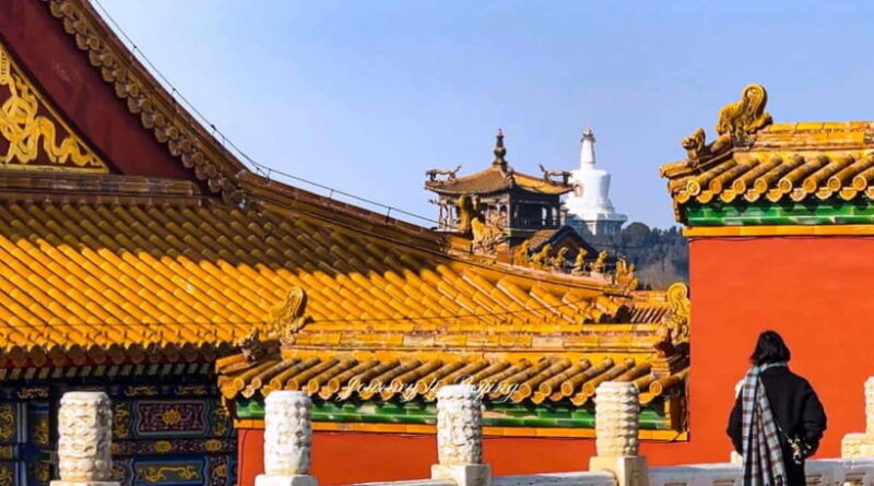 Beijing: Highlights of Forbidden City Private Walking Tour - Final Thoughts