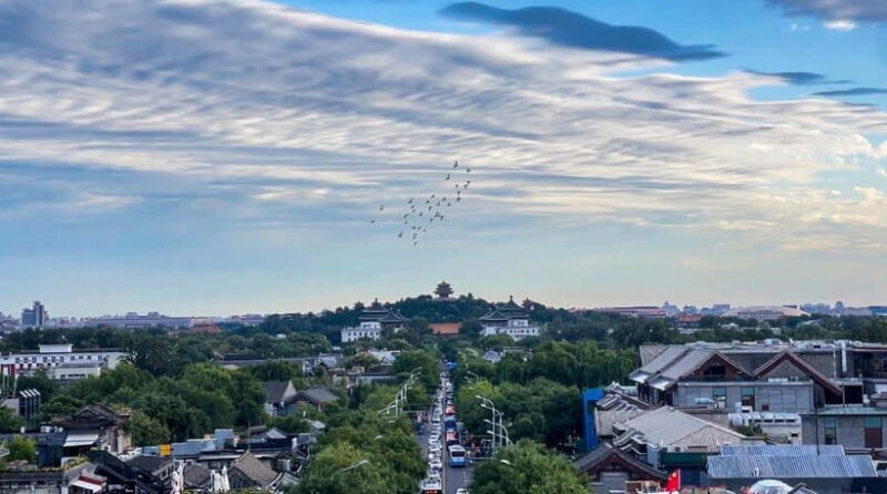 Beijing: Hutongs & Drum Tower City Walking Tour - The Authenticity and Value of the Tour