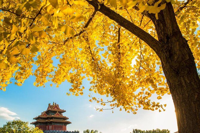 Beijing Layover Tour to Tiananmen Square and Forbidden City - Who Would Enjoy This Tour?