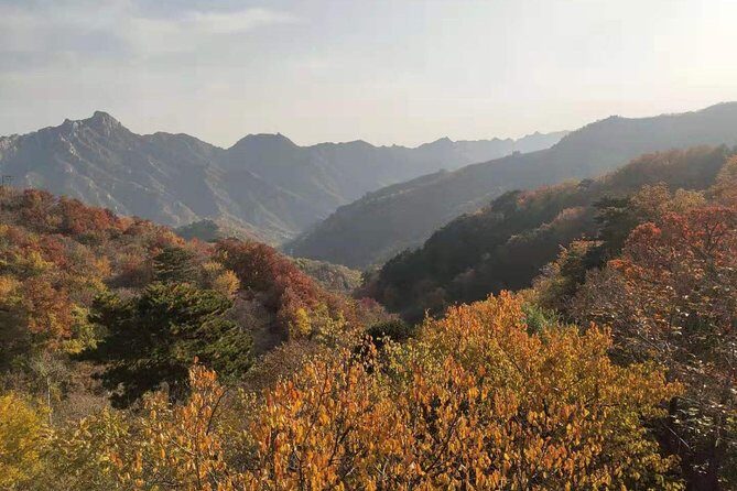 Beijing Mutianyu Great Wall and Tea House with English Driver - An In-Depth Look at the Tour Experience