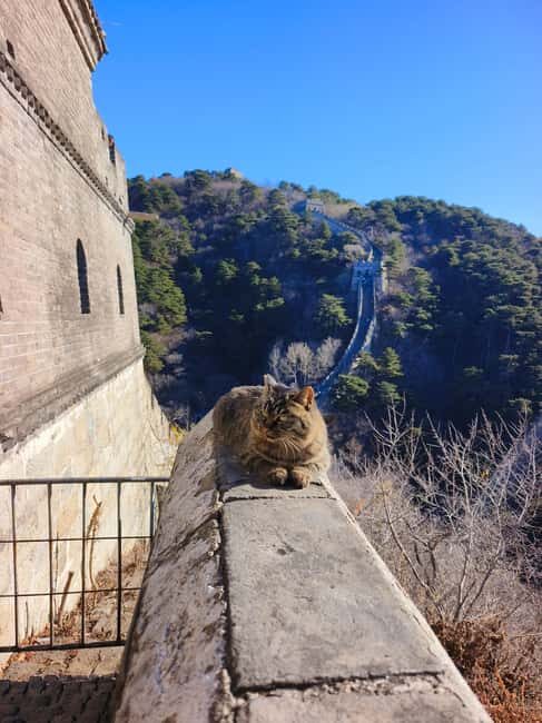 Beijing: Mutianyu Great Wall+Forbidden City Tour with Option - Returning to Beijing