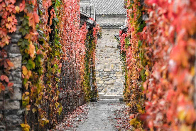 Beijing Night Tour- Acrobatic Show with Transfer - The Sum Up: Who Should Book?