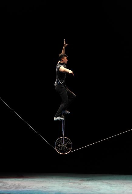 Beijing: Night Tour of Acrobatics Show Including Transfer - Final Thoughts