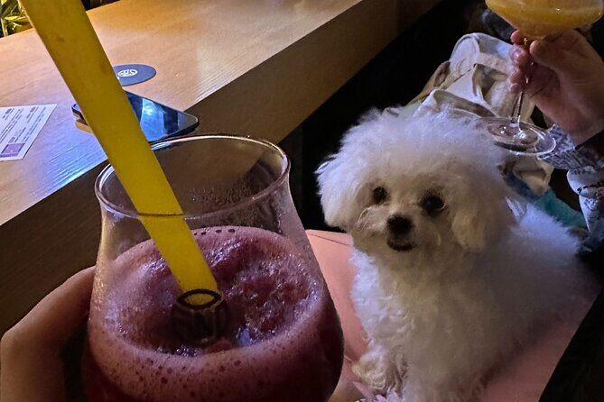 Beijing Nightlife with a Local Friend Bars Social and Culture - Final Thoughts