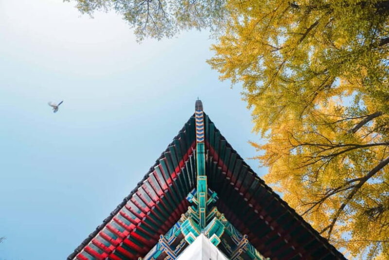 Beijing: Peking University Campus Guided Walking Tour - Practical Tips and Considerations