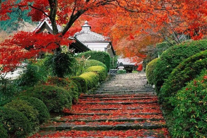 Beijing Private Tour to Summer Palace and Fragrant Hill with Cable Car Ride - In-Depth Review of the Tour Experience