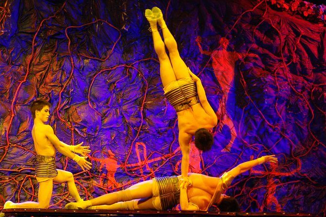 Beijing Roast Duck Dining & Acrobatic Show w/ Transfer - Who Will Enjoy This Tour?