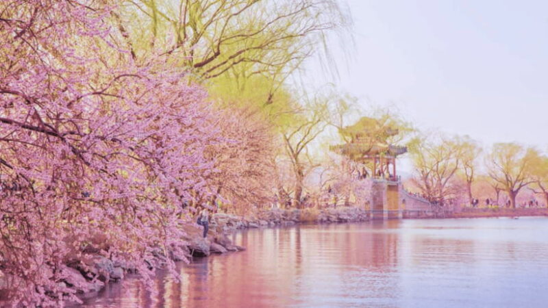 Beijing: Summer Palace Admission Ticket and eGuide - The Location and What It Offers