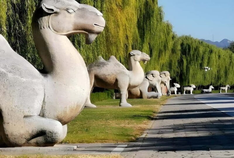 Beijing: Summer Palace Entry Tickets with Transfer Options - FAQs