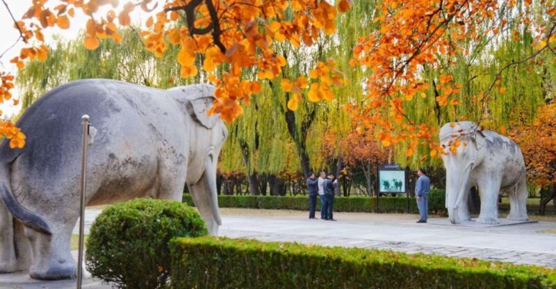 Beijing: Summer Palace Sacred Road & Ming Tombs Private Tour - A Deep Dive into the Experience