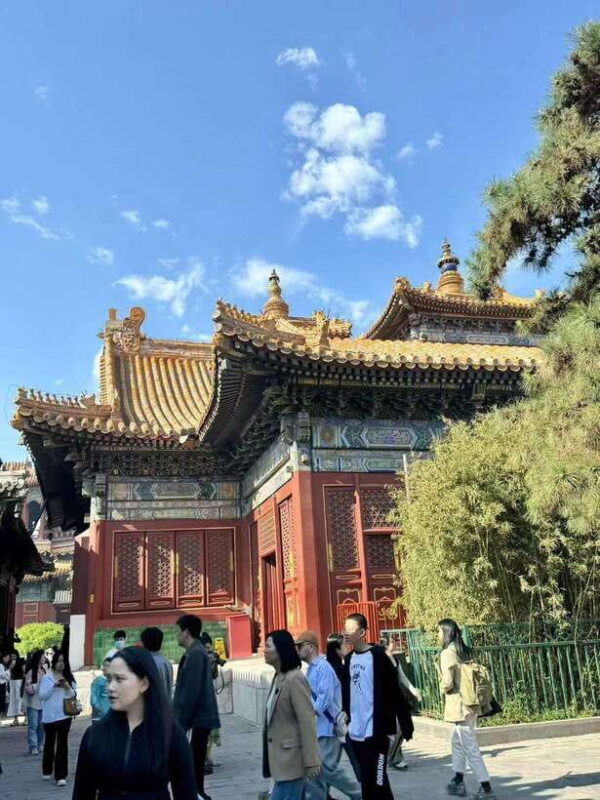 Beijing: The Yonghe Lama Temple Entry Ticket - The Experience: What You Can Expect