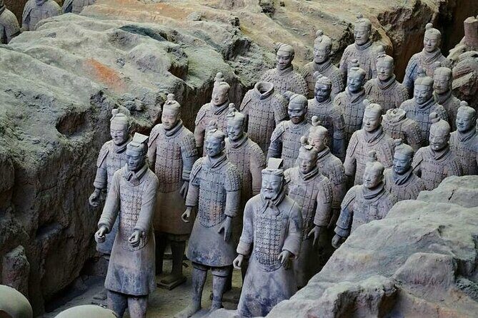 Beijing to Xi'an Terracotta Warriors Day Trip with Bullet Train - Key Points