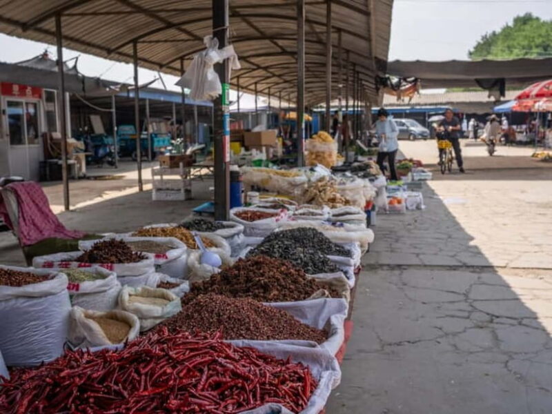 Beijing: Vegan Home Cooking & Local Market Tour with Sanxia - Final Thoughts: Is It Worth It?