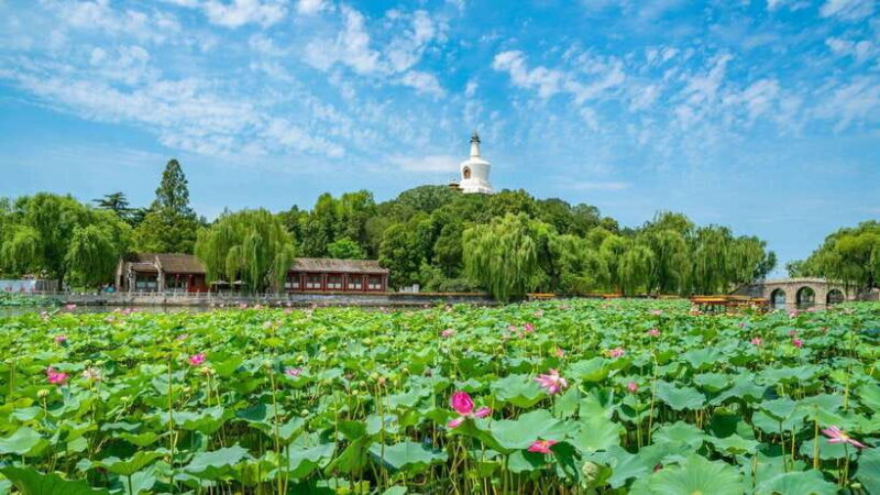 BeijingBeihai Park E-ticket Booking Service - Authentic Visitor Experiences and Insights
