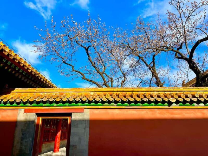 Beijing:Forbidden City--Reveal Secrets Behind Red Walls - The Sum Up