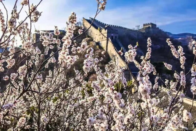 Beijing:Mutianyu Great Wall Bus Tour 7/8/9/10/13/13:30/15:30 - FAQ