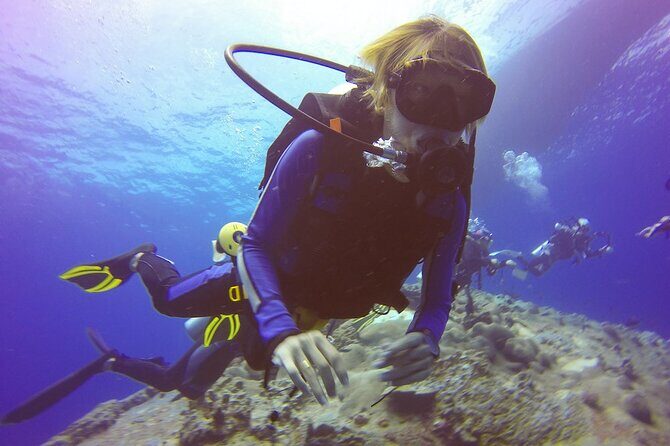 Belek Scuba Diving Experience (2 Dives) With Lunch - Key Points