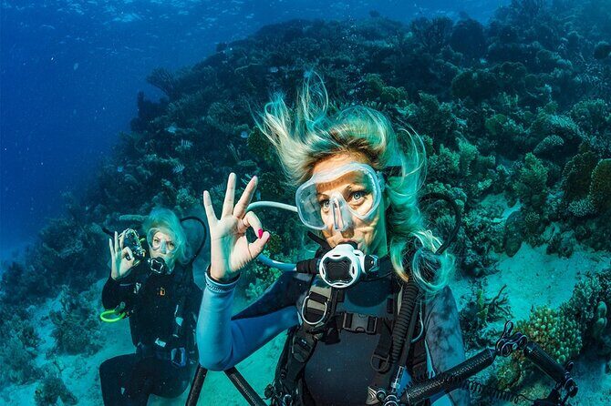 Belek Scuba Diving Experience (2 Dives) With Lunch - Practical Details and Tips