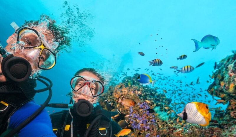 Belek: Scuba Diving in the Mediterranean Sea - A Detailed Look at the Experience