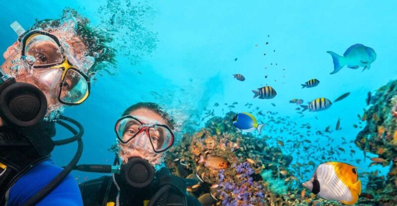 Belek: Scuba Diving in the Mediterranean Sea - Practical Tips for Participants