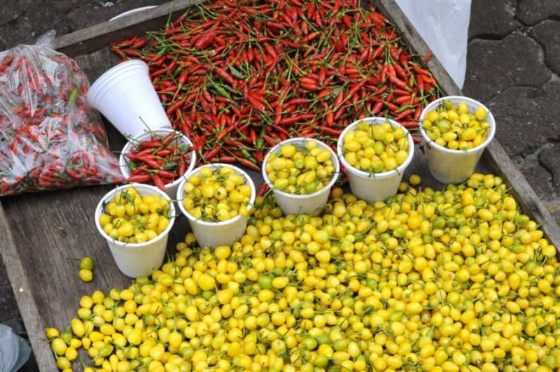 Belém: Half-Day City Tour with Ver-o-Peso Market Visit - Discover Belém in a Half-Day Tour: Ver-o-Peso Market and Historic Highlights